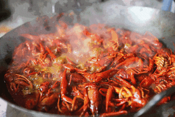 С��Ϻ���ʺ���ʲô�ط�����